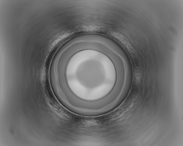 X0000112000583200908031230