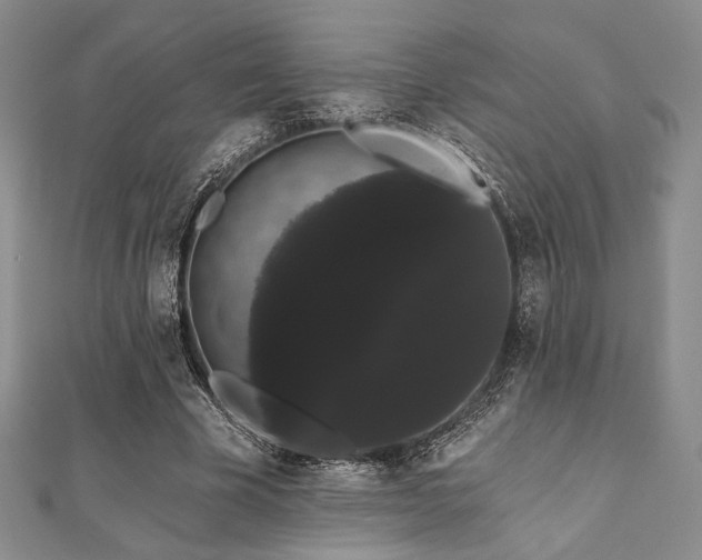 X0000112000585200908031230