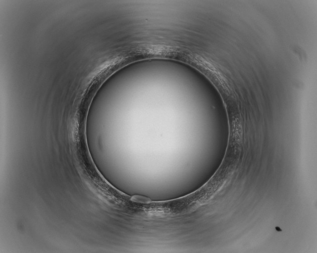 X0000112000587200908031230