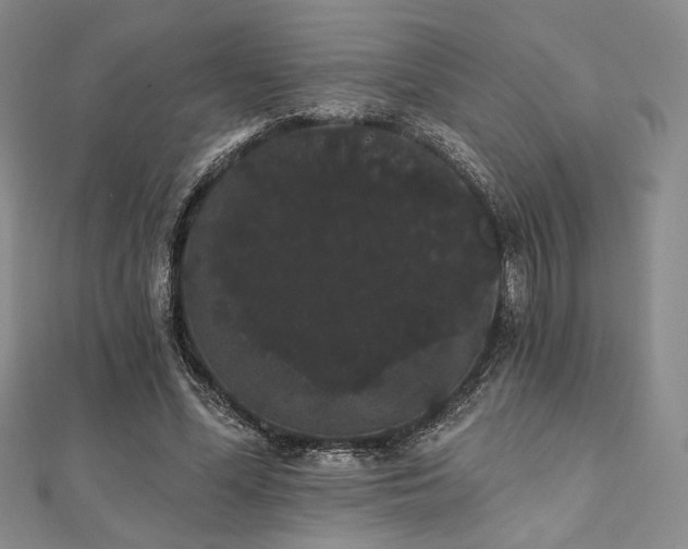 X0000112000588200908031230