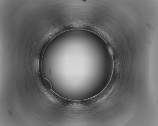 X0000112000589200908031230