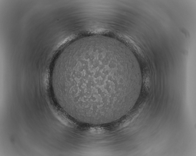 X0000112000591200908031230