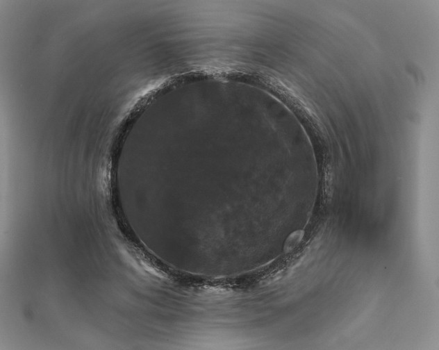 X0000112000592200908031230