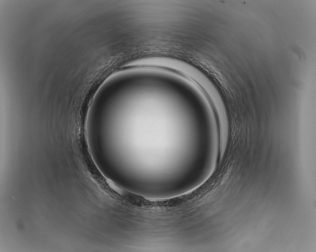 X0000112000593200908031230