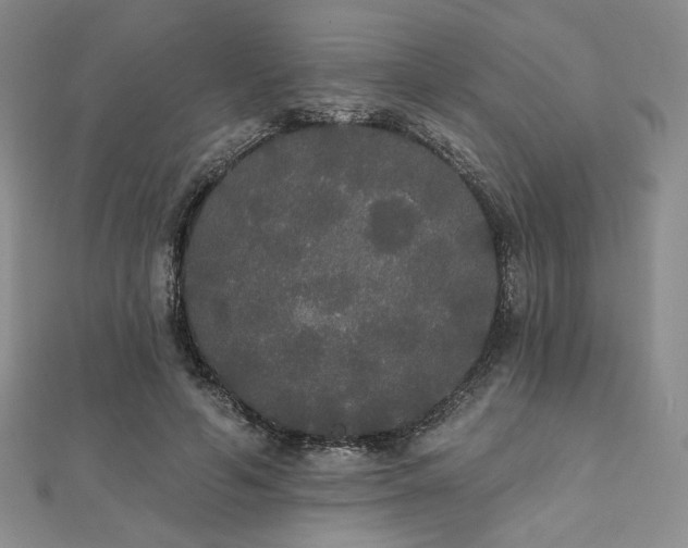 X0000112000594200908031230