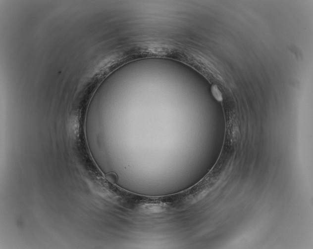 X0000112000595200908031230