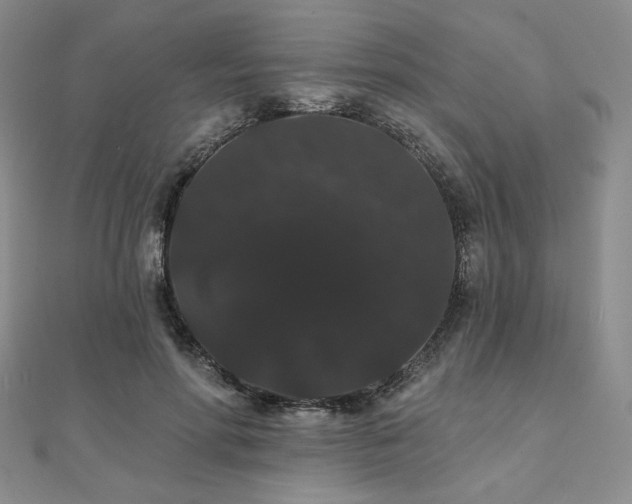 X0000112000598200908031230