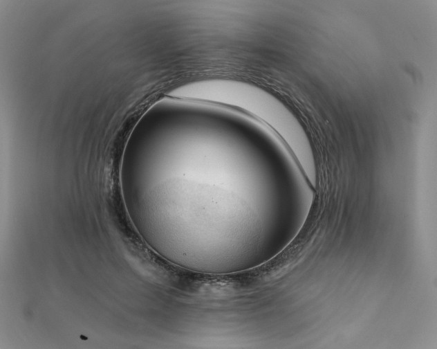 X0000112000599200908031230