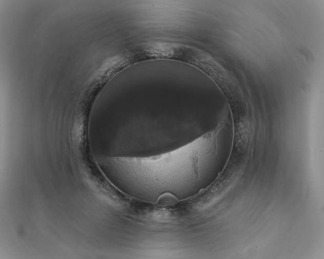 X0000112000600200908031230