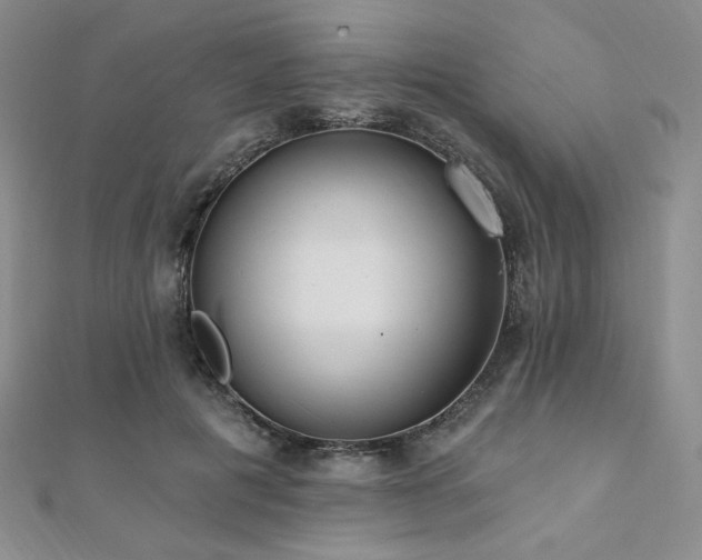 X0000112000601200908031230