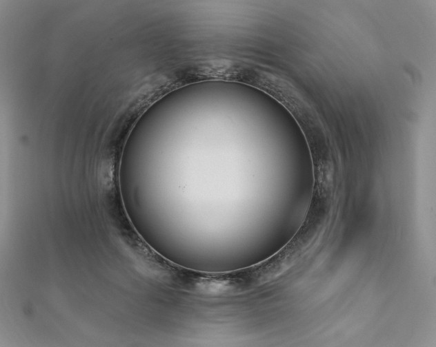 X0000112000602200908031230