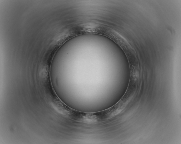 X0000112000603200908031230