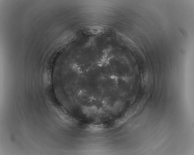 X0000112000606200908031230