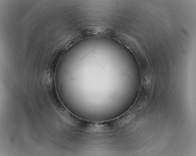 X0000112000607200908031230