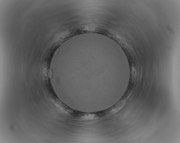 X0000112000609200908031230