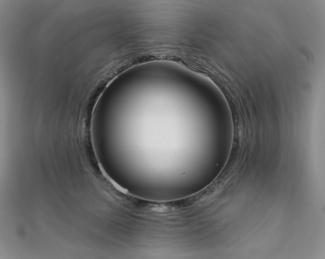 X0000112000611200908031230