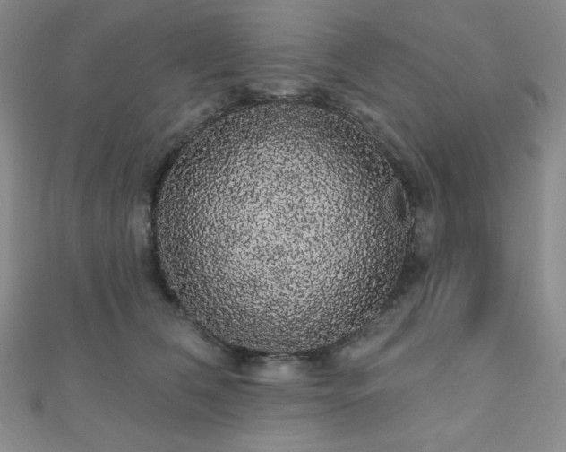 X0000112000612200908031230