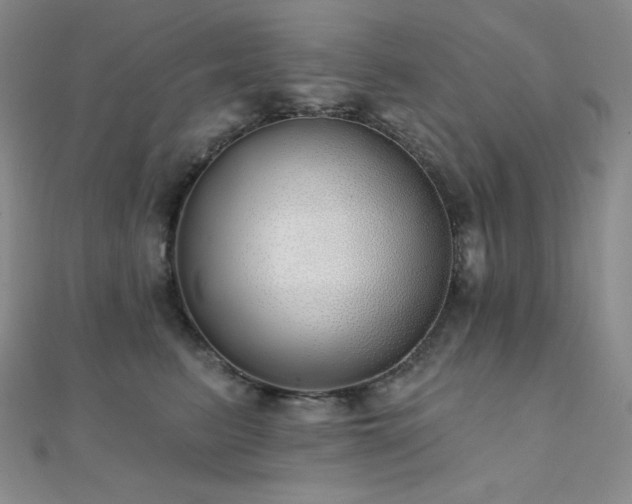 X0000112000615200908031230