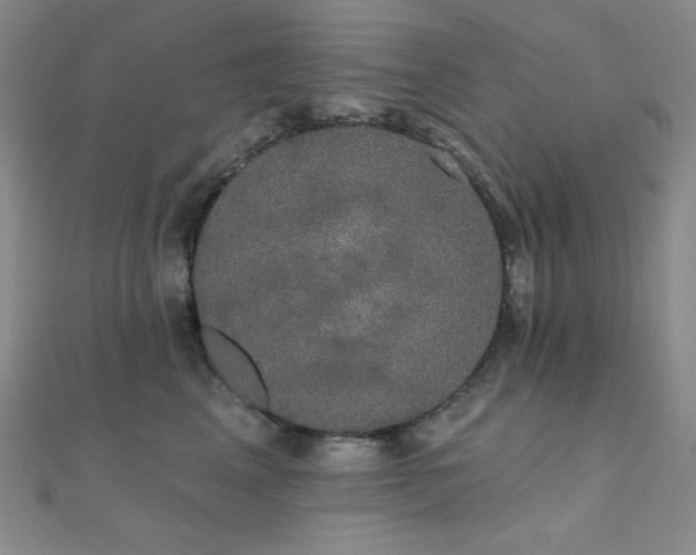 X0000112000617200908031230