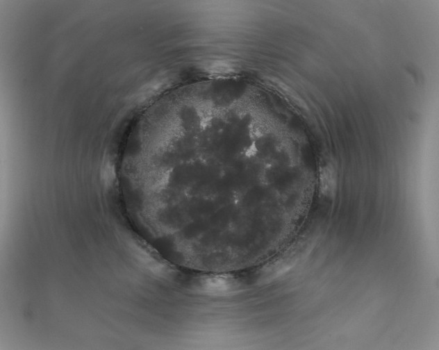 X0000112000618200908031230