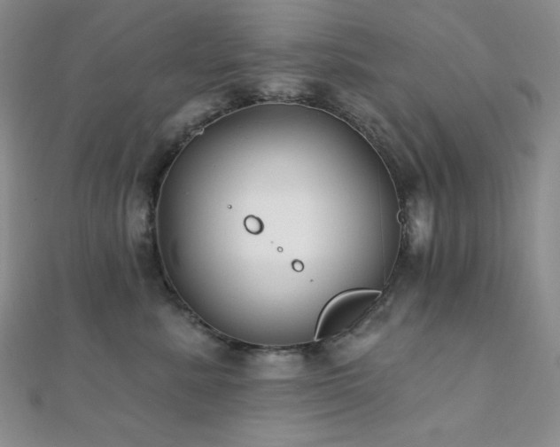 X0000112000619200908031230