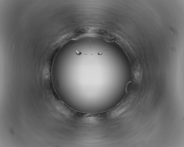 X0000112000620200908031230