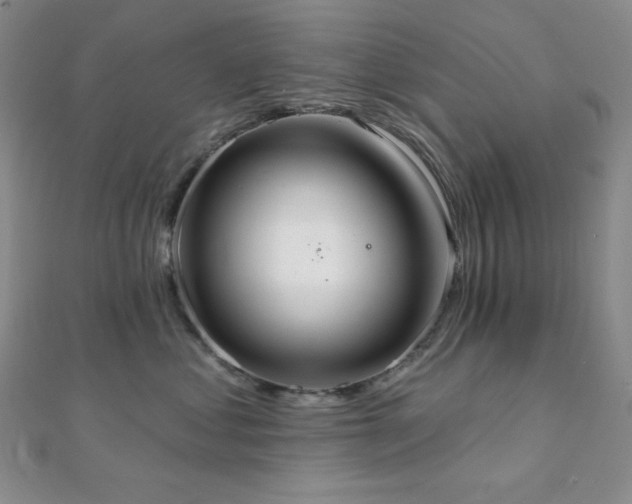 X0000112000621200908031230