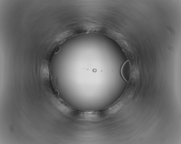 X0000112000622200908031230