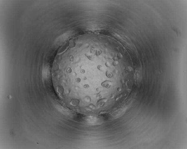 X0000112000623200908031230