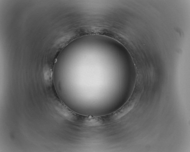 X0000112000624200908031230