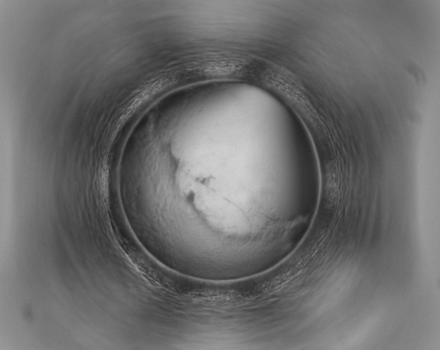 X0000112000626200908031229