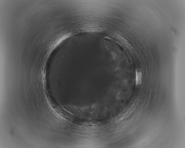 X0000112000627200908031229