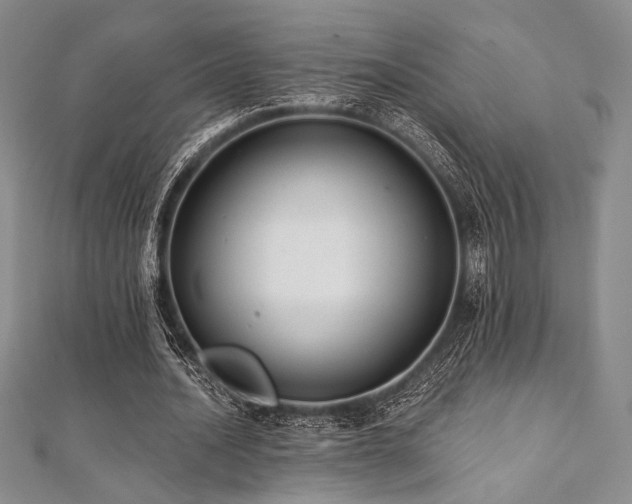 X0000112000628200908031229