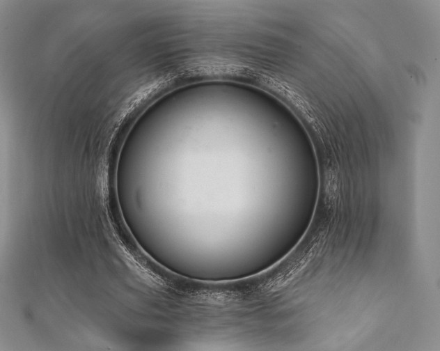 X0000112000629200908031229