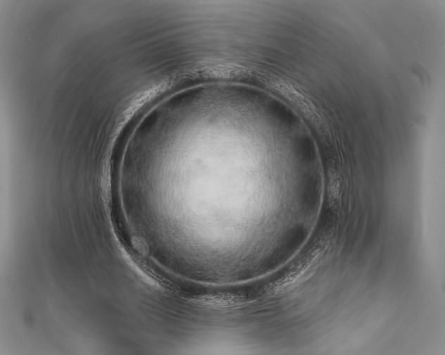 X0000112000630200908031229