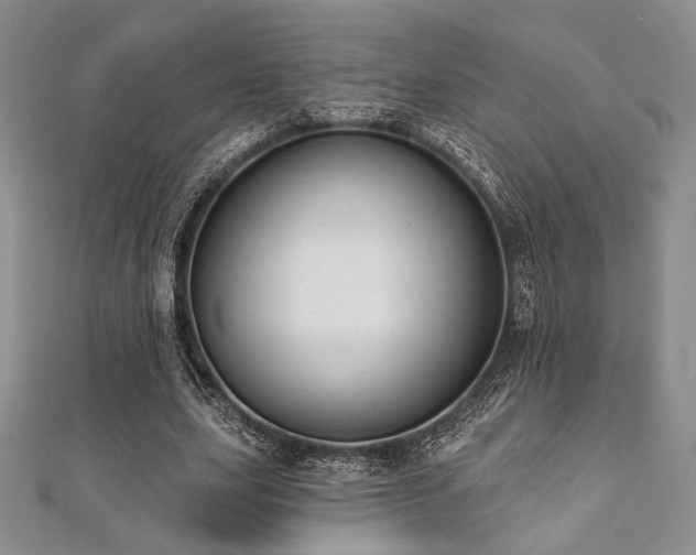 X0000112000631200908031229