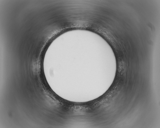 X0000112000632200908031229