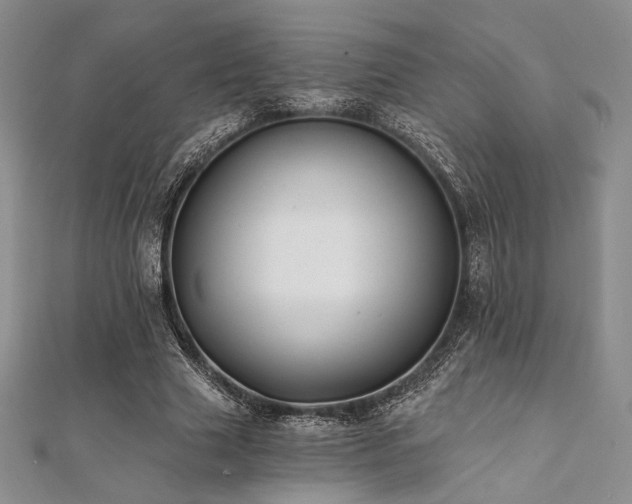 X0000112000633200908031229