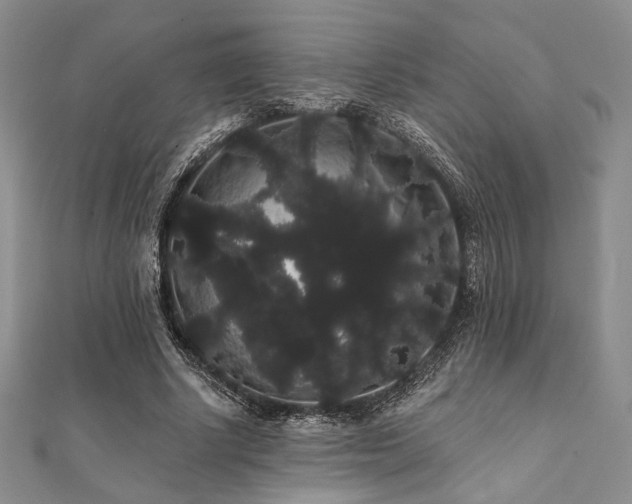 X0000112000634200908031229