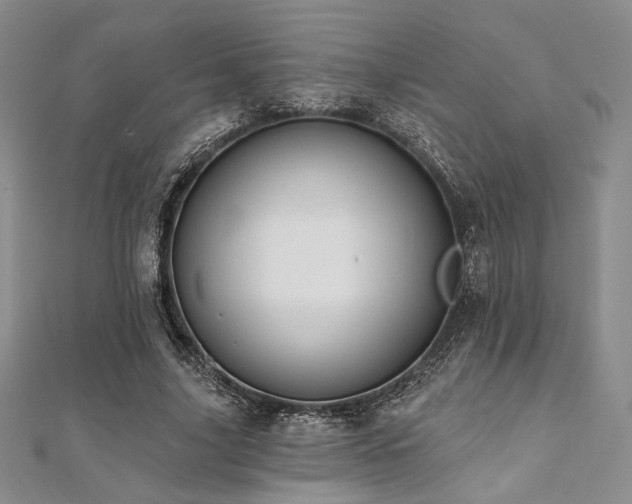 X0000112000635200908031229