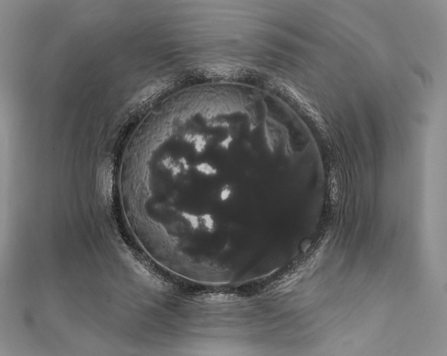 X0000112000637200908031229