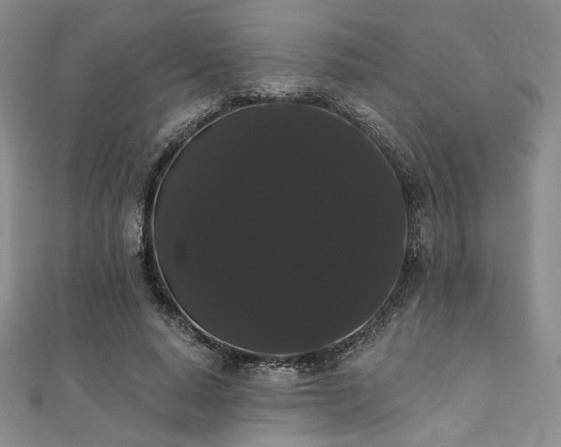 X0000112000640200908031229