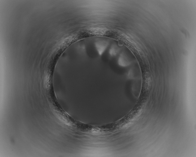 X0000112000641200908031229