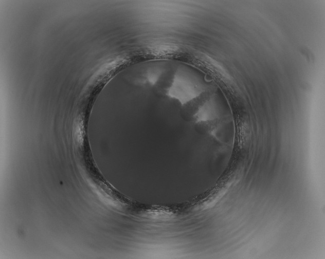 X0000112000644200908031230