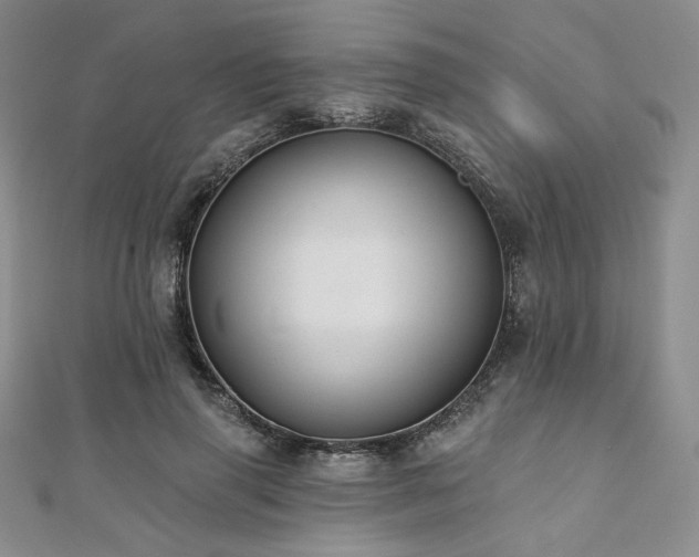 X0000112000645200908031230