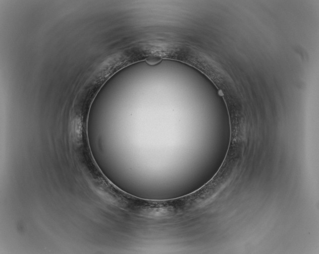 X0000112000646200908031230