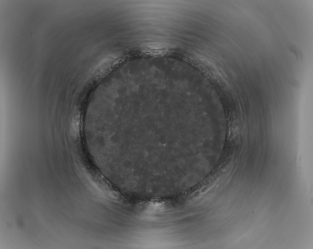 X0000112000647200908031230