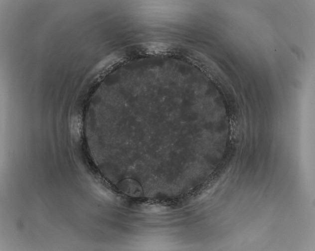 X0000112000648200908031230