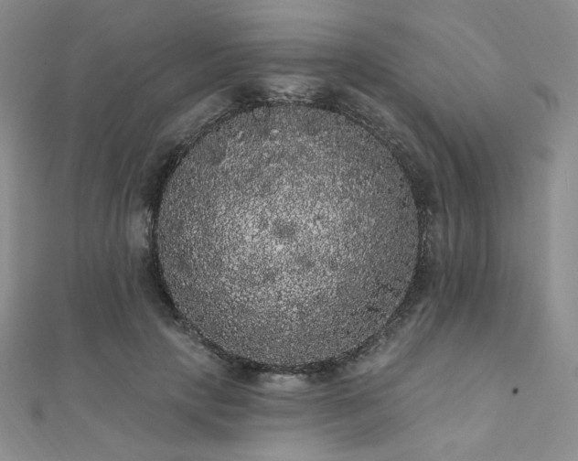 X0000112000649200908031230