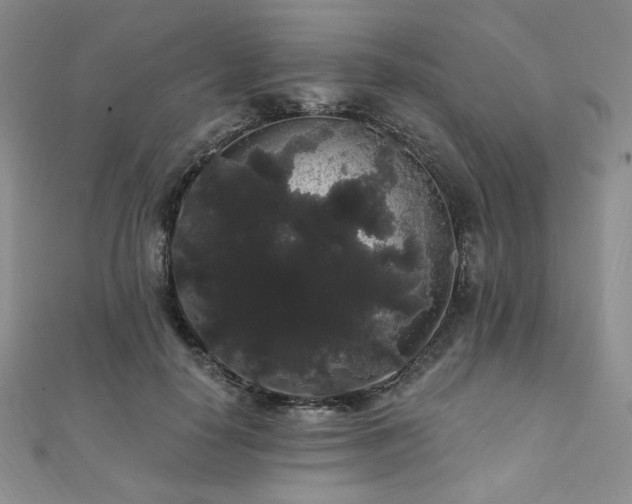 X0000112000650200908031230